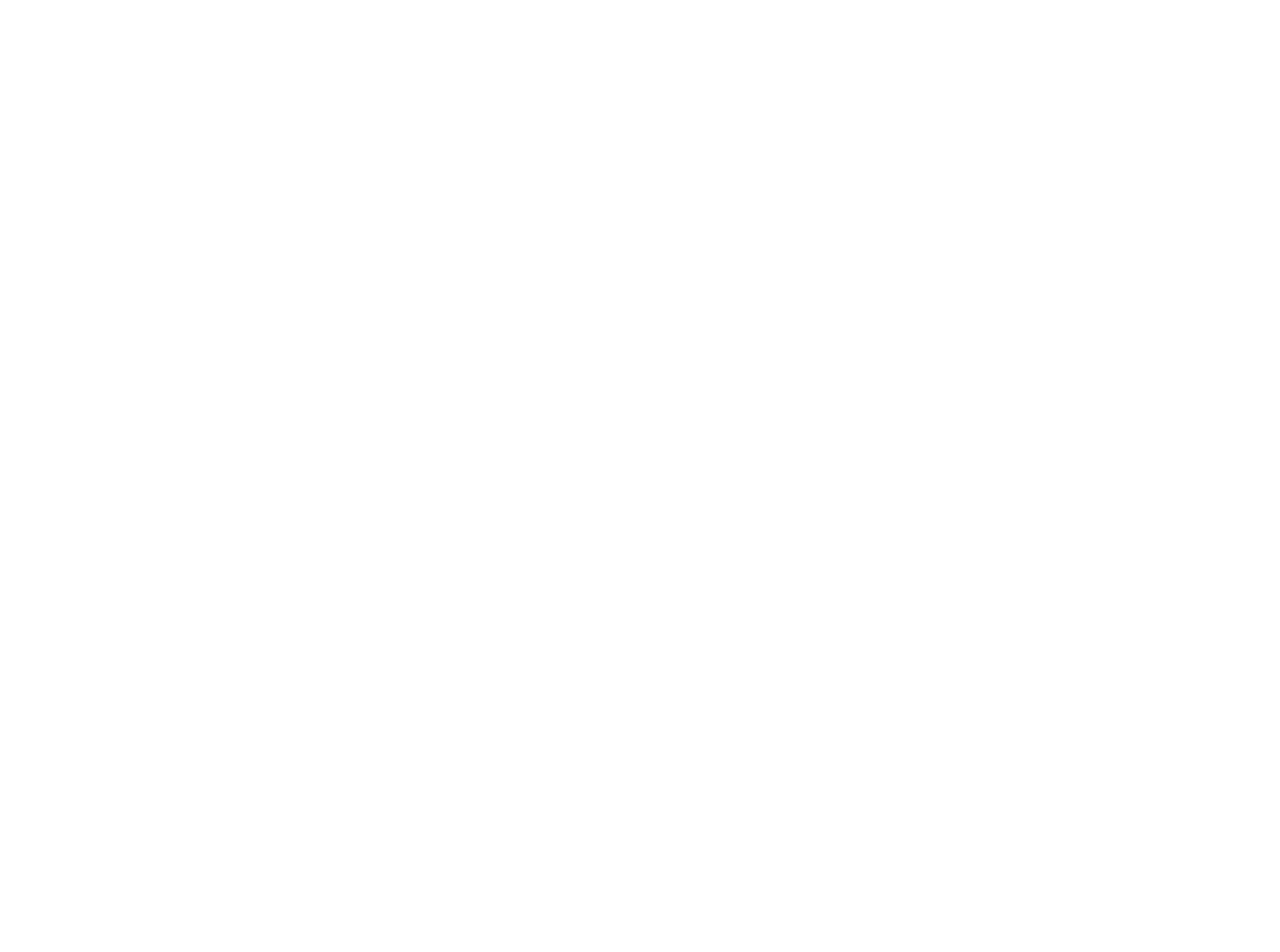 LUMINA BY GERI NATALE BUSINESS STRATEGY